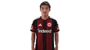 Eintracht Frankfurt Football Sticker by Bundesliga