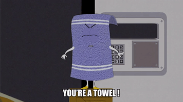 You're A Towel!