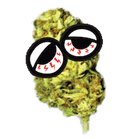 seedlessclothing weed stoner seedless Sticker