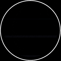 Ride Sumo GIF by SuperSprings International