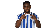 Home Bundesliga Sticker by Hertha BSC