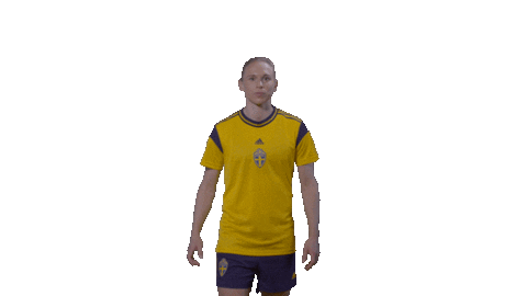 Happy Sport Sticker by Swedish Football Association