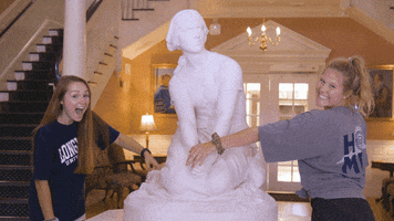 LongwoodUniversity lu lancer longwood longwood university GIF
