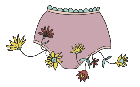 thevelvetdust giphyupload feminist underwear panties Sticker
