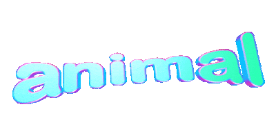 text Sticker