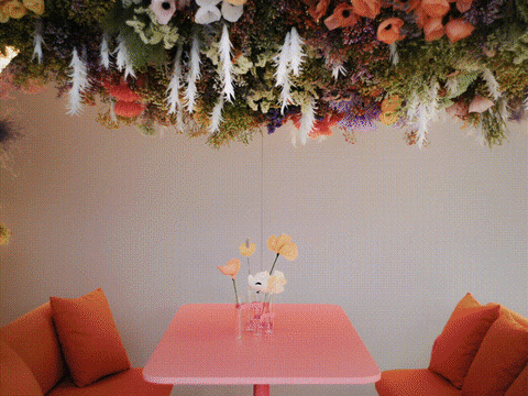 GIF by Studiolabo