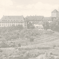 weihenstephanusa beer bier craft fest GIF