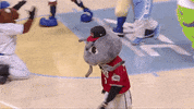 Dance Mascot GIF by Carolina Mudcats Baseball