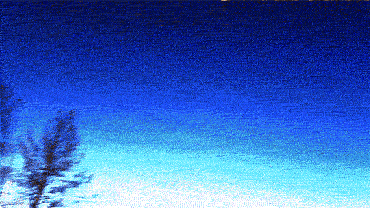 video art trees GIF by J. Robinson