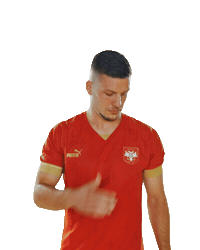 Lukajovic Sticker by sportmts