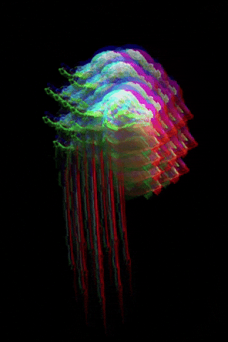 Glitch Flower GIF by Mollie_serena