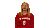 Wisconsin Volleyball Sport Sticker by Wisconsin Badgers