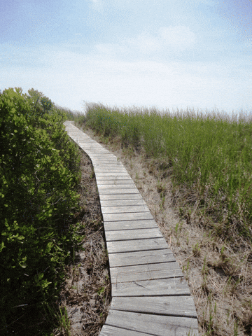 beach house GIF