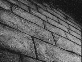 black and white film GIF by Okkult Motion Pictures