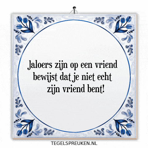 Nl Wijsheid GIF by Tegelspreuken.nl