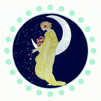 MoonshadowFest moonshadow moonshadowfest moonshadowfestival moonshadow fest GIF