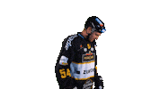 Hockey Look Sticker by HC Pustertal Wolves