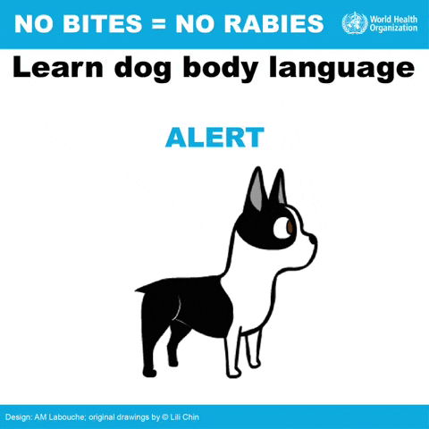ThisRoxx dog bite rabies GIF