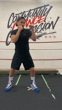 quinitboxing  GIF