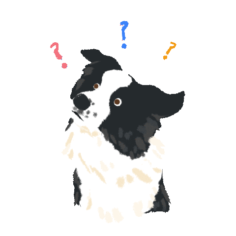 Dog What Sticker