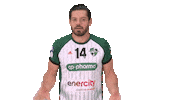 Handball-Bundesliga What Sticker by LIQUI MOLY HBL
