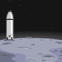 To The Moon Space GIF by Pudgy Penguins