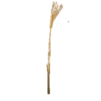 Country Music Sticker Sticker by Dylan Schneider