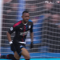 Premier League Hug GIF by CPFC