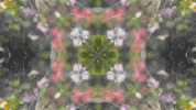 Art Film GIF by jorgemariozuleta