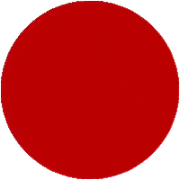 Red Dot Fitness Reddotfitness Rdf Sticker by reddotfitness