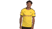 Happy Borussia Dortmund Sticker by Bundesliga