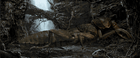 King Kong GIF by Universal Destinations & Experiences