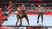 Wwe Wrestling GIF by USA Network