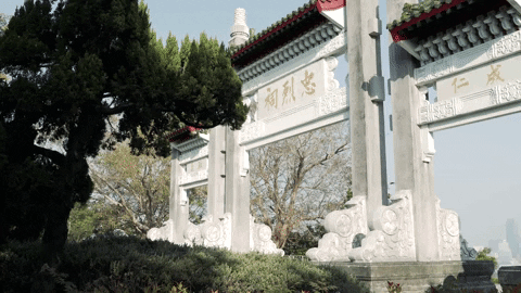 7925e80c02b2447f97ae06a1c78908e3 giphyupload dolly slider kaohsiung GIF