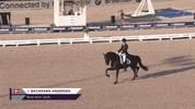 Trotting European Championship GIF by FEI Global