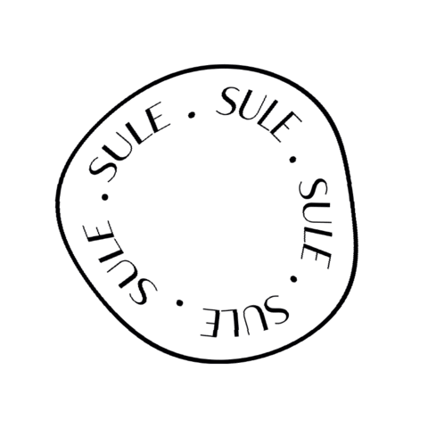 Thesulestore giphyupload sule Sticker