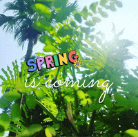 Spring GIF