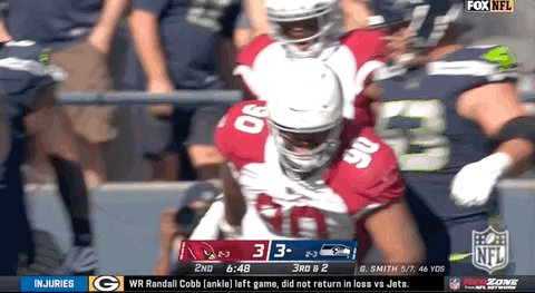 Arizona Cardinals Football GIF by NFL