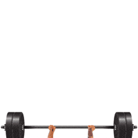 Happy Birthday GIF by Janeen Lankowski, IFBB PRO