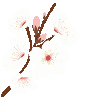 Palma De Mallorca Ibiza Sticker by 180gradsalon