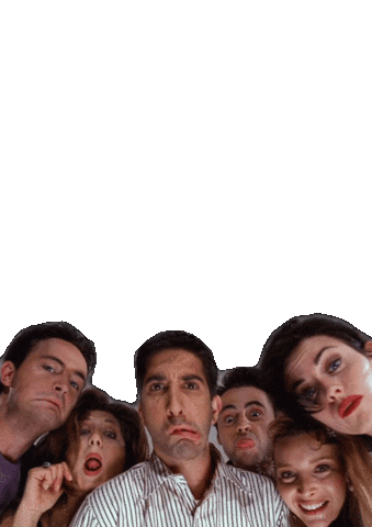 Meme Friends Sticker