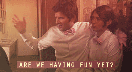 party down are we having fun yet GIF
