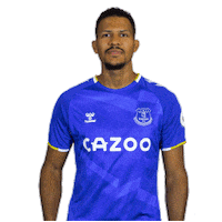 Everton Fc Utt Sticker by Everton Football Club