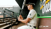 College Baseball Chase GIF by GreenWave