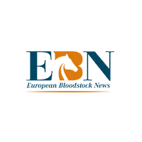 Bloodstocknews horse racing bloodstock ebn bloodstocknews Sticker