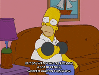 homer simpson GIF