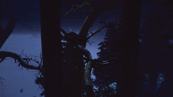 annapurnainteractive annapurnainteractive edithfinch GIF