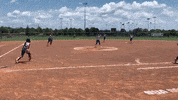 Celebration GIF by USA Softball