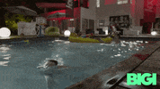Game Pool GIF by BIGI_TV