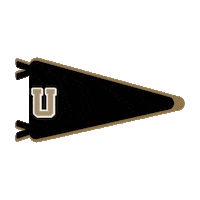 UNCP black gold braves pennant Sticker